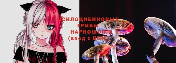 метадон Алексин