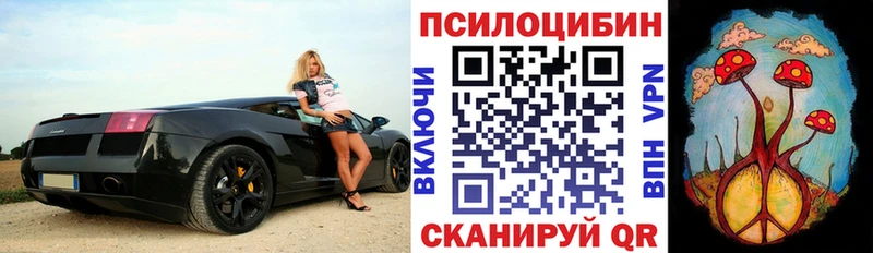 купить закладку  Приморск  blacksprut онион  Галлюциногенные грибы Magic Shrooms 